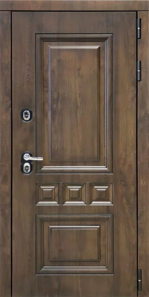 Входная дверь ДвериПРО Аура ФЛ-659 (12мм, nussbaum+черная патина винорит) DPRO196627 внешняя сторона
